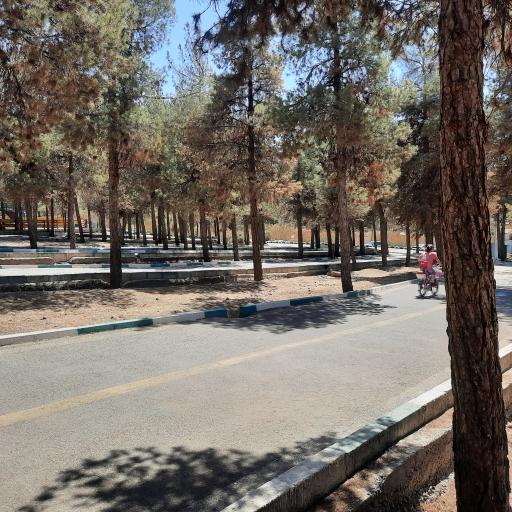 عکس پیست دوچرخه سواری