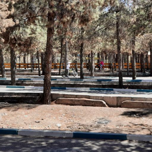 عکس پیست دوچرخه سواری