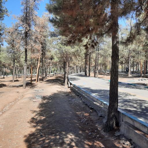 عکس پیست دوچرخه سواری