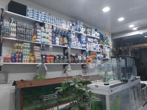 عکس آکواریوم جزیره