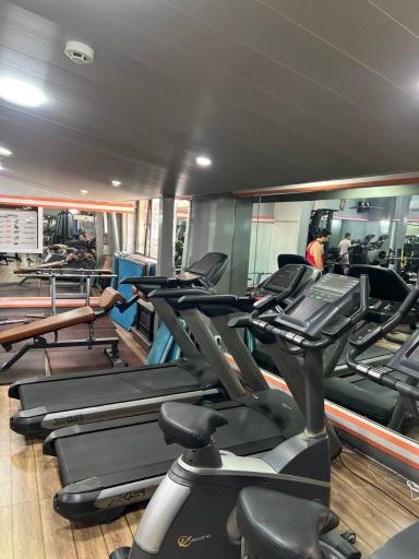 عکس باشگاه مجید