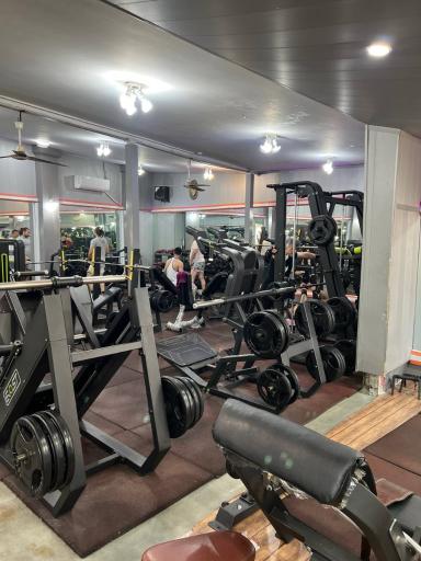 عکس باشگاه مجید