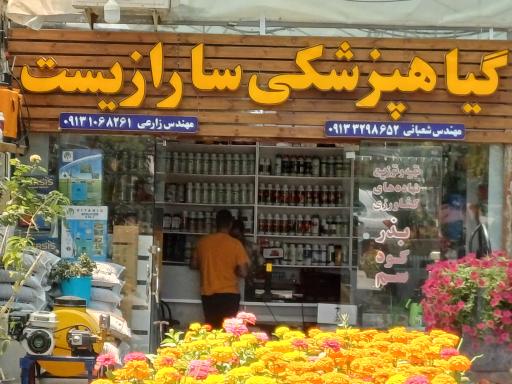 عکس گیاه پزشکی سارازیست