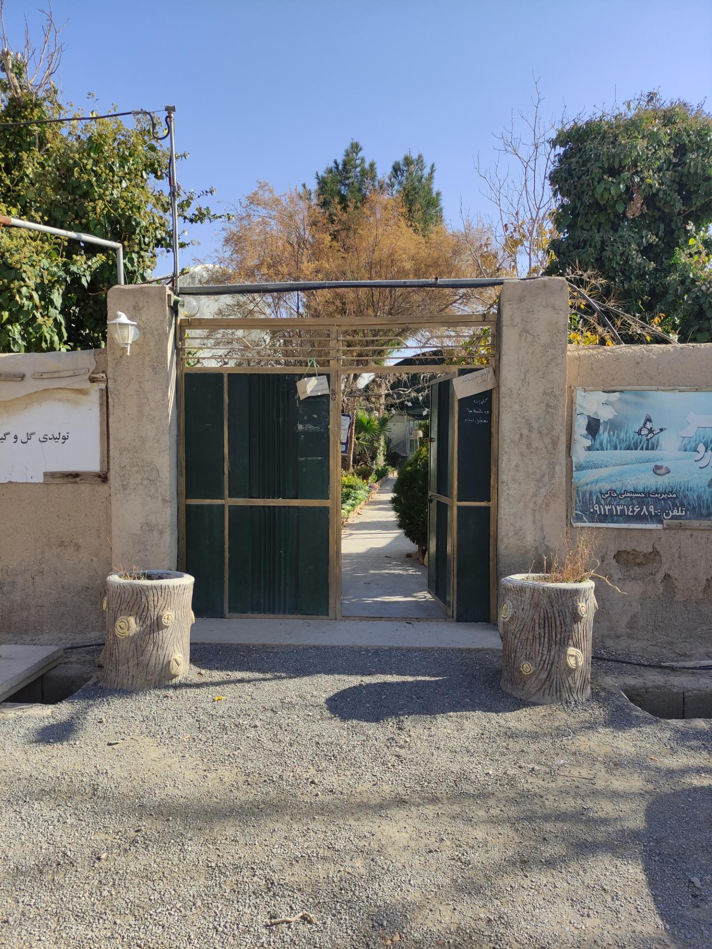 عکس گل و گیاه کوثر 