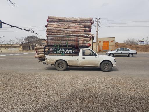 عکس قالیشویی باران تاکستان 