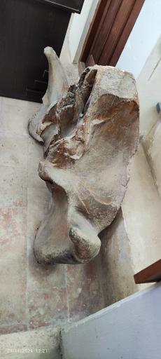 عکس موزه تاریخ پزشکی خلیج فارس