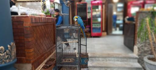 عکس رستوران موعود