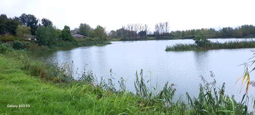 عکس مرداب طبیعی ولکس (تالاب عینک)