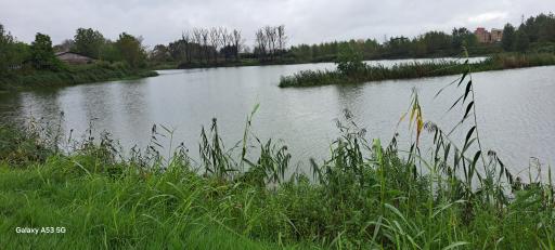 عکس مرداب طبیعی ولکس (تالاب عینک)