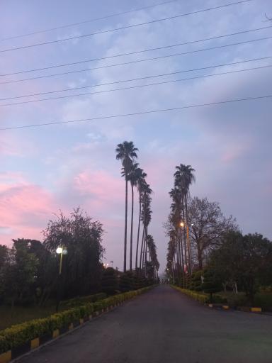 عکس اردوگاه هفتم تیر رامسر