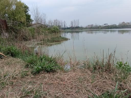 عکس مرداب طبیعی ولکس (تالاب عینک)