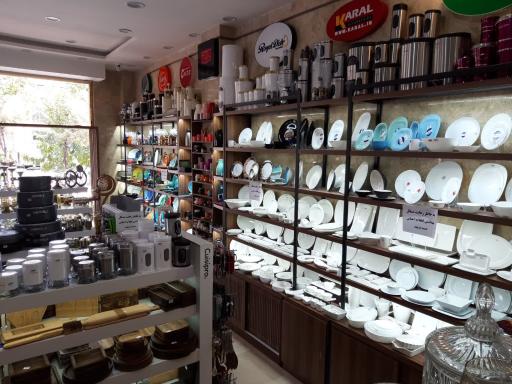 عکس گالری پرتقال