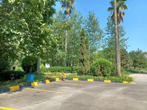 عکس اردوگاه هفتم تیر رامسر