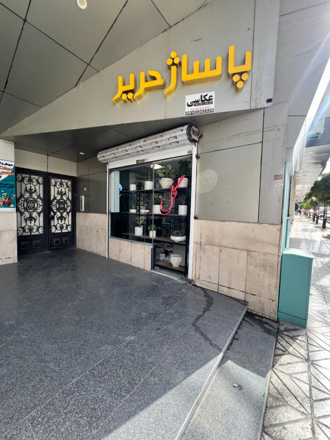 عکس  گل گلدون