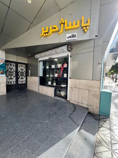 عکس  گل گلدون