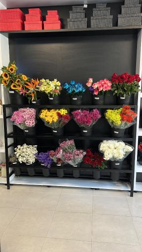 عکس  گل گلدون