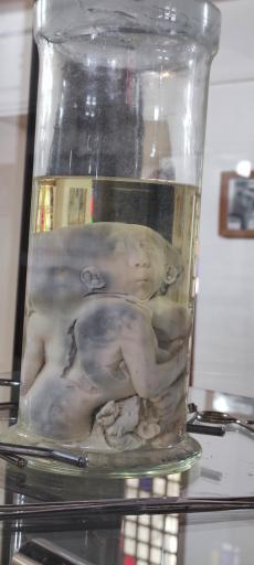 عکس موزه تاریخ پزشکی خلیج فارس