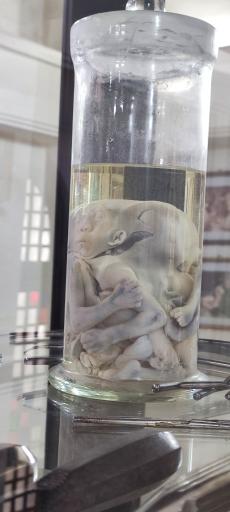 عکس موزه تاریخ پزشکی خلیج فارس