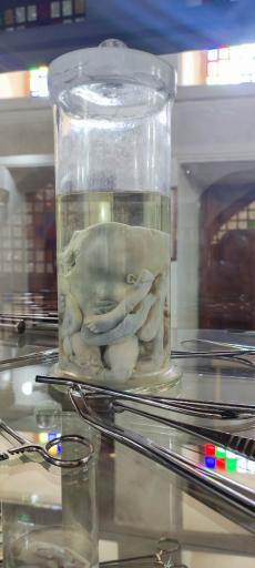 عکس موزه تاریخ پزشکی خلیج فارس