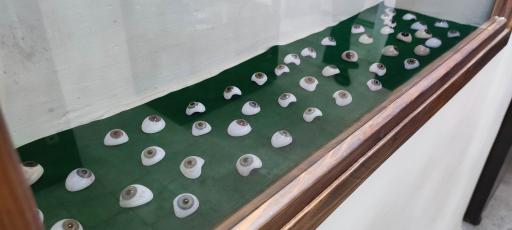 عکس موزه تاریخ پزشکی خلیج فارس