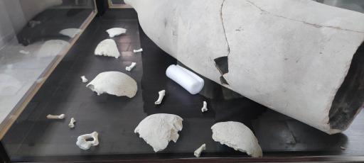 عکس موزه تاریخ پزشکی خلیج فارس