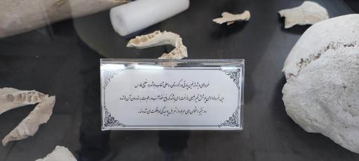 عکس موزه تاریخ پزشکی خلیج فارس