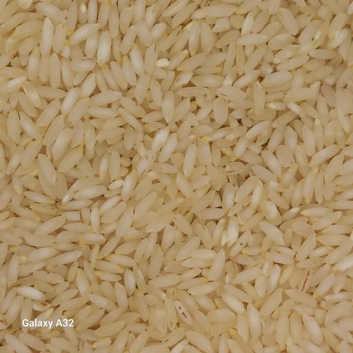 عکس برنج چمپا فروشی محمدتقی بوکان