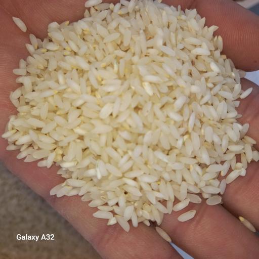 عکس برنج چمپا فروشی محمدتقی بوکان