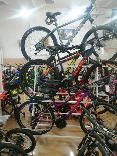 فروشگاه دوچرخه رالی