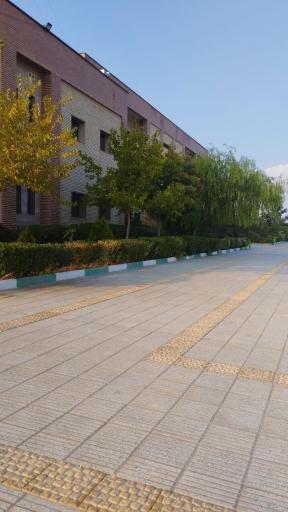 عکس دانشکده بهداشت دامغان