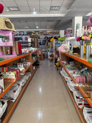 عکس کلینیک حیوانات خانگی و پت شاپ استادان