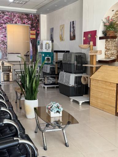 عکس کلینیک حیوانات خانگی و پت شاپ استادان