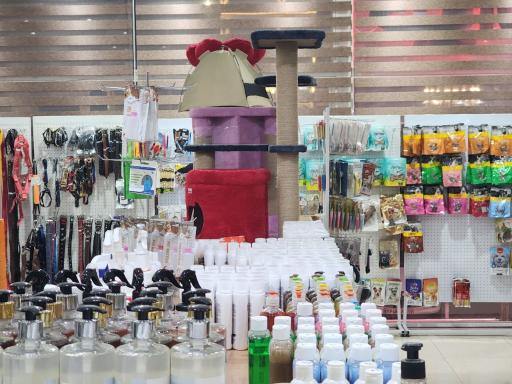 عکس کلینیک حیوانات خانگی و پت شاپ استادان