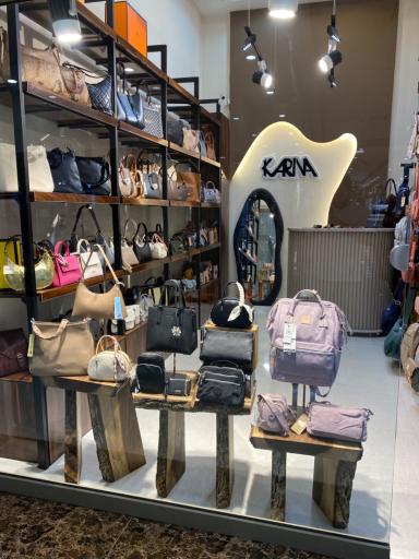 عکس کیف کارینا