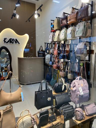 عکس کیف کارینا