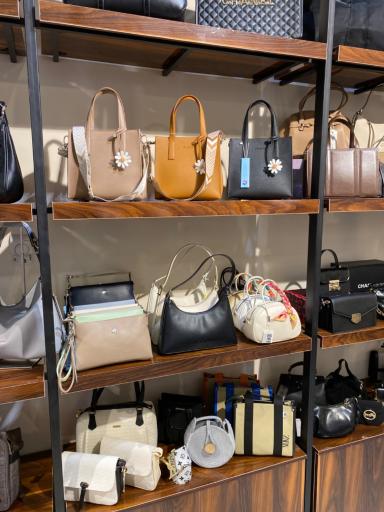 عکس کیف کارینا