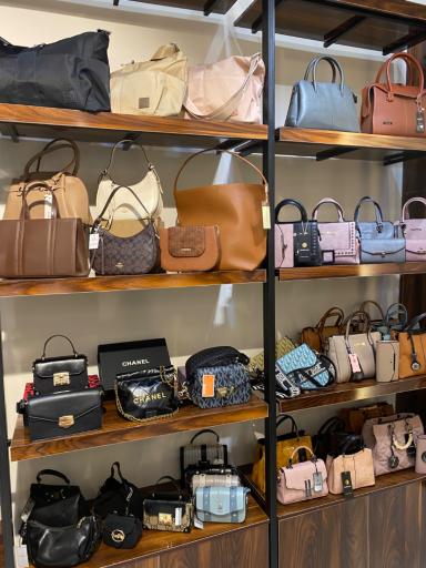 عکس کیف کارینا