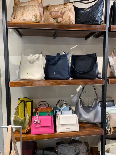 عکس کیف کارینا