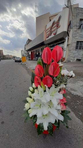 عکس گل فروشی گلسنگ