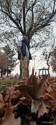 عکس پارک ساحلی