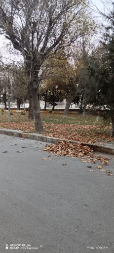 عکس پارک ساحلی