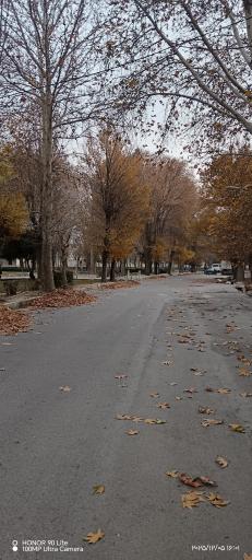 عکس پارک ساحلی