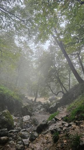 عکس پاقلعه