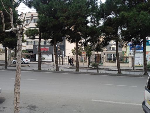 عکس مارال چرم