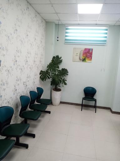 دکتر نسرین سلیم نیا متخصص مغز و اعصاب