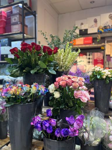 عکس گل مینیاتور