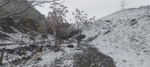 عکس دره وسیه 