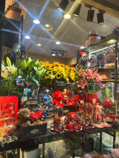 گل مینیاتور