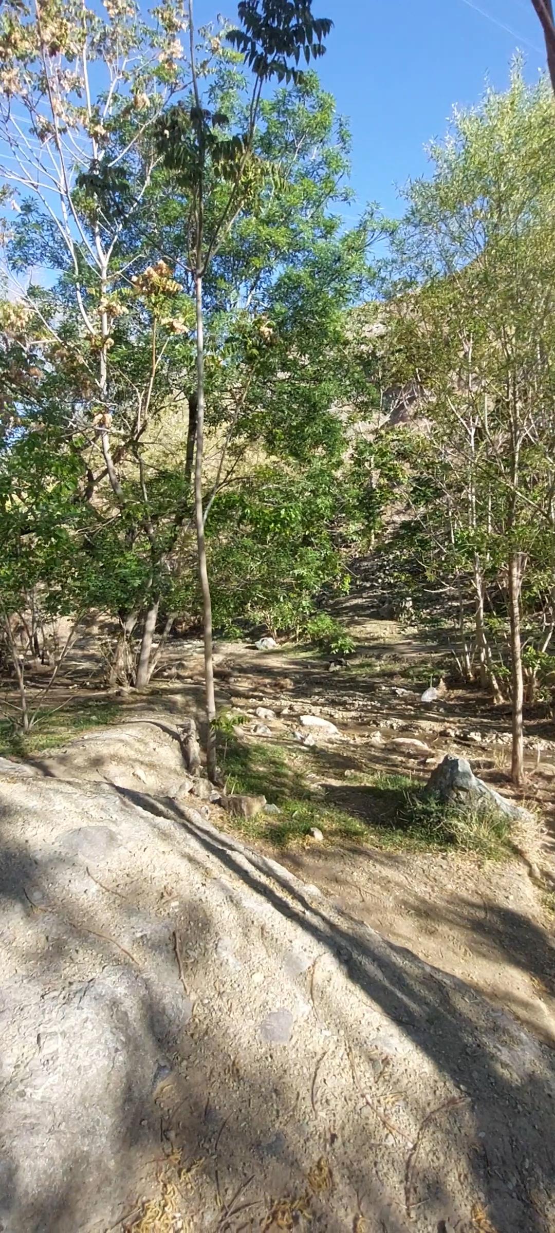 عکس دره وسیه 