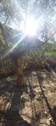 عکس دره وسیه 